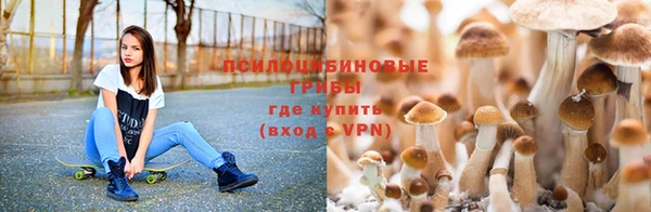 стафф Абдулино